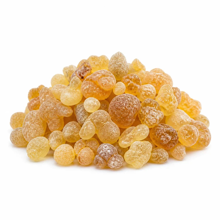 Boswellia Serrata